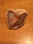 Rock that Ryan picked for her when he hiked the grand canyon